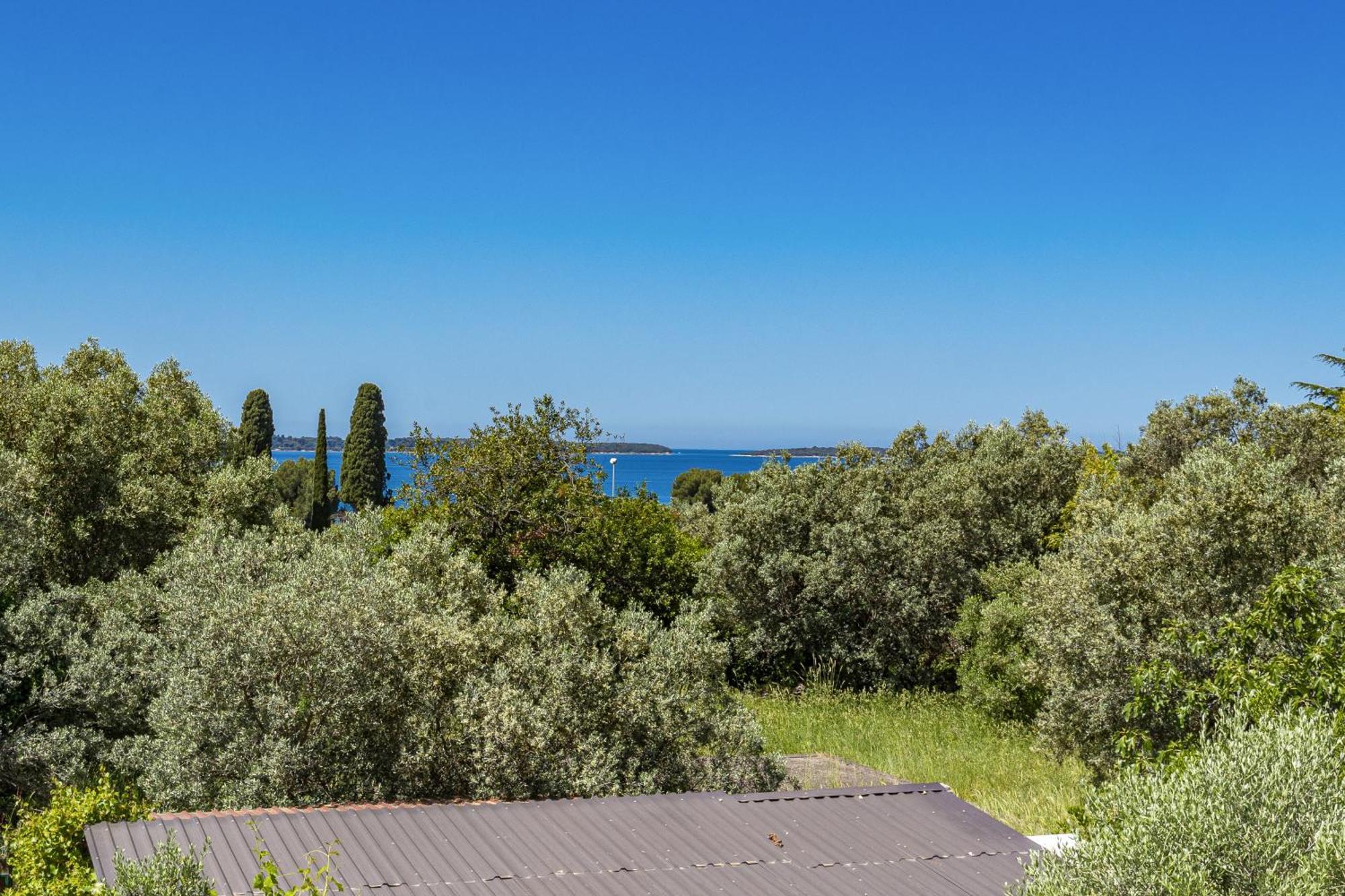 Apartment Nenad - Amazing Sea View ! Only 500 Meters From The Beach ! 法扎纳 外观 照片